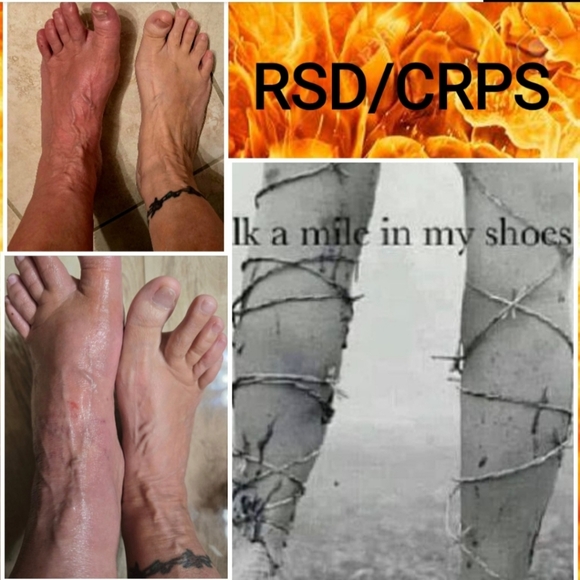 Meet your Posher, Adeline - Picture 4 of 12